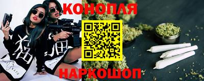 стаф Долгопрудный
