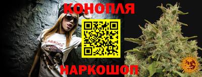 мяу мяу мука Гудермес