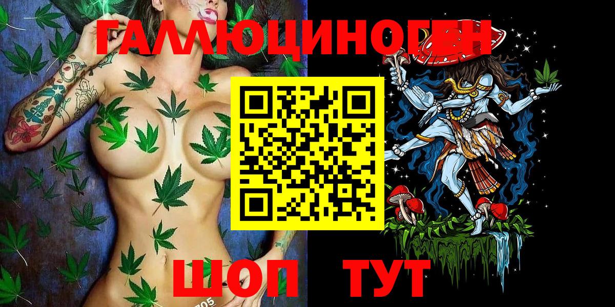 Галлюциногенные грибы мицелий  Псилоцибиновые грибы прущие грибы  Ахтубинск  хочу   Вход с VPN 